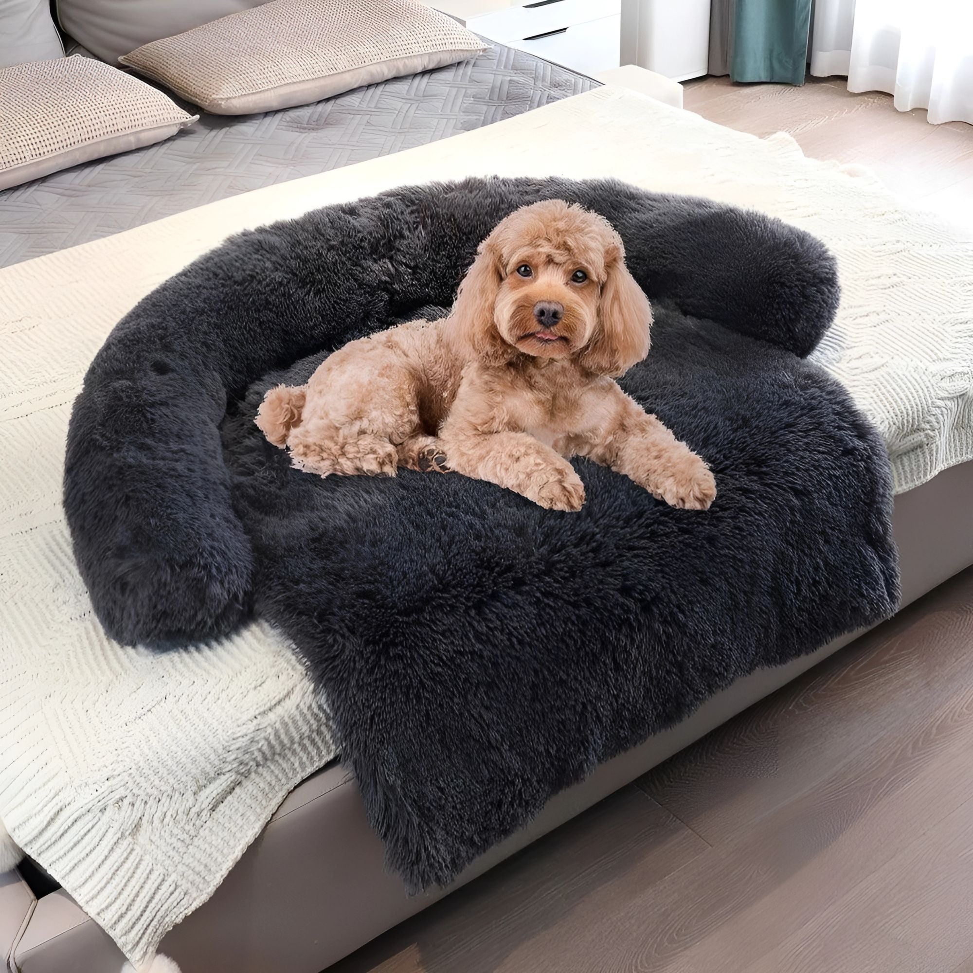 Paws and Peace Collection