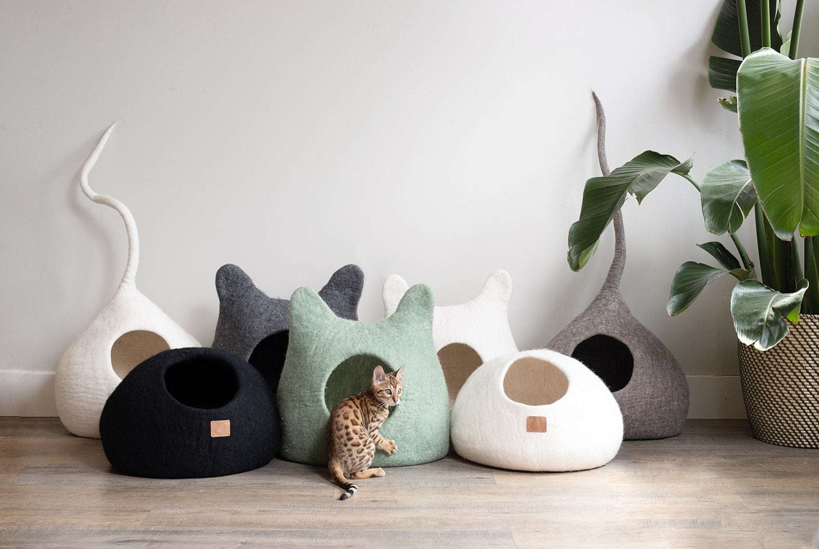 Round style felted wool cat cave beds in various colors, featuring a chic night black design for cozy feline retreats.