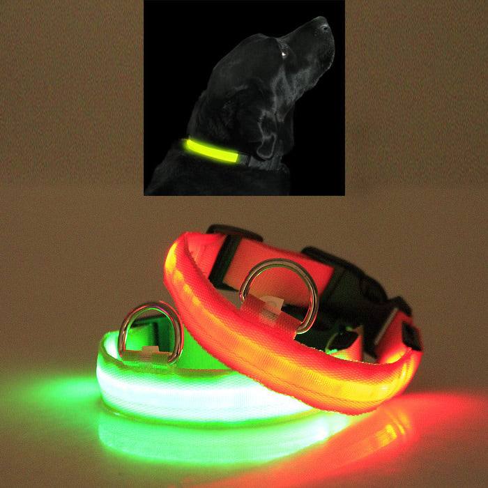LED Pet Collar in multiple colors, glowing for pet visibility at night.