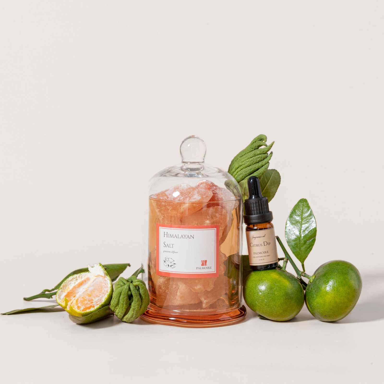 Himalayan Salt Diffuser with Citrus Dip fragrance oil and citrus fruits.