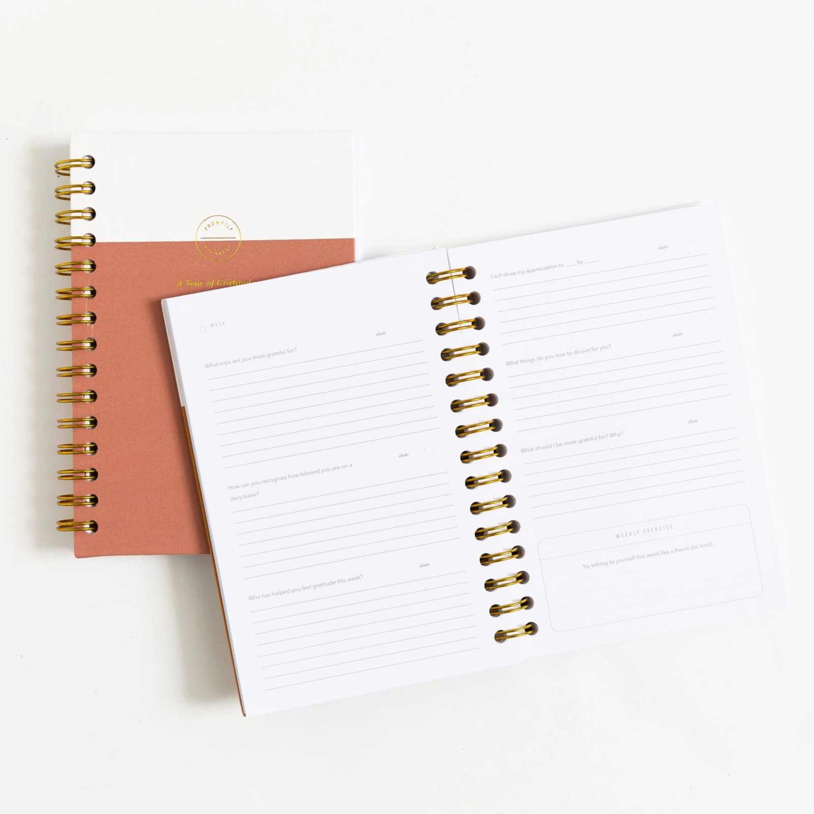 Gratitude Journal - Sea Foam by Promptly Journals with weekly prompts and linen cover.