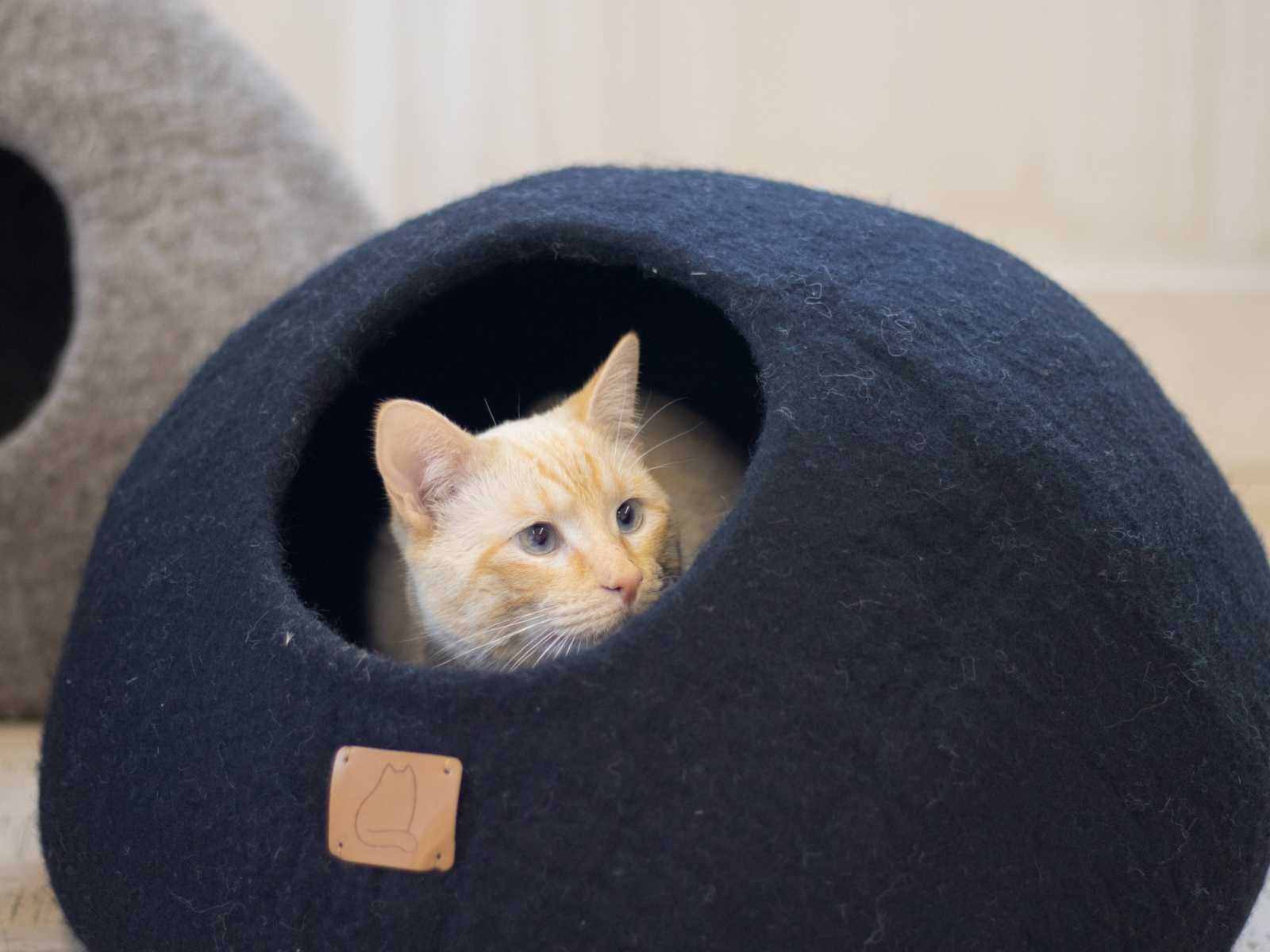 Round style felted wool cat cave bed in night black with a cozy interior.