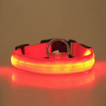 LED PET Safety Halo Style Collar glowing in the dark, available in multiple sizes and colors.