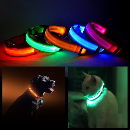 LED PET Safety Halo Style Collar with bright lights in various colors on pets.