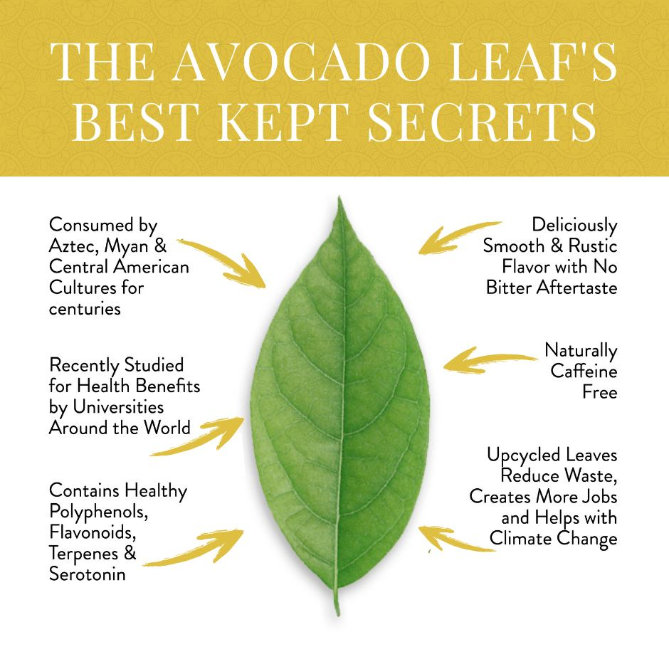 Avocado Leaf Tea Lemon Blend benefits and features with a green leaf illustration.