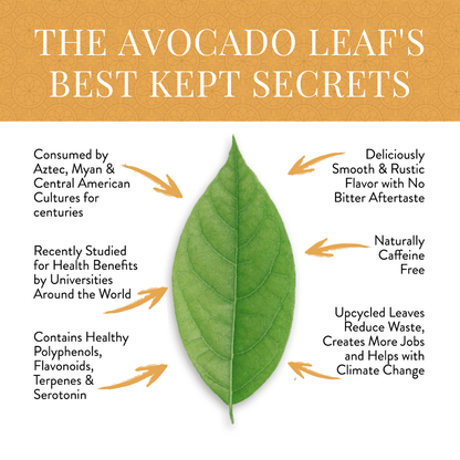 Avocado Leaf Tea benefits infographic featuring avocado leaf and text on health and sustainability.