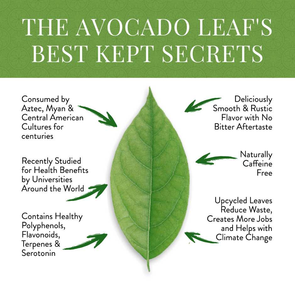 Avocado Leaf Tea Natural Leaf, caffeine-free, smooth flavor, sustainably sourced, biodegradable sachets.