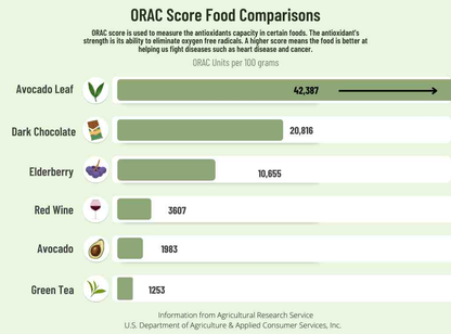 ORAC score comparison chart showing avocado leaf with the highest antioxidant capacity among listed foods.